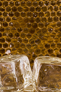 美味的蜂蜜健康饮食野生动物动物蜜蜂金子团队六边形医疗细胞食物图片
