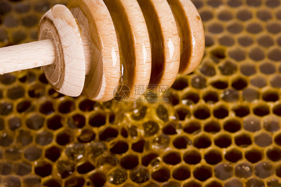 美味的蜂蜜健康饮食医疗蜂窝食物甜食六边形黄色昆虫细胞农场图片
