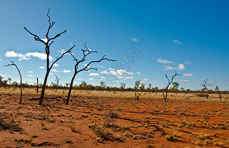 澳洲地貌岩石假期天空沙漠风景植被衬套游客红色领土图片