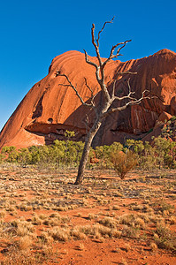 Ayers 岩石土地风景红色沙漠领土旅游公园峡谷爬坡荒野图片