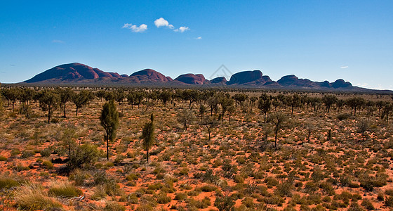 kata tjuta 千兆字节石头风景旅游领土山脉假期岩石旅行沙漠衬套图片