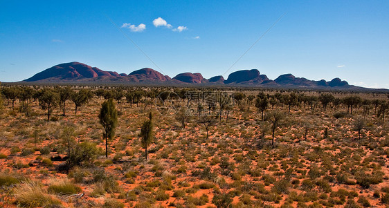 kata tjuta 千兆字节石头风景旅游领土山脉假期岩石旅行沙漠衬套图片