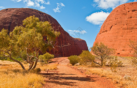 kata tjuta 千兆字节石头地标风景衬套旅行岩石沙漠领土假期山脉图片