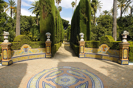 西班牙塞维利亚阿尔卡扎王室花园植被叶子人行道地标衬套通道植物群途径装饰品公园图片