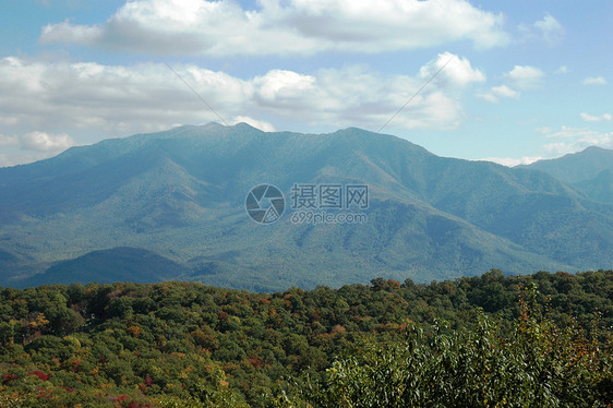 盖特林堡山山脉树木季节叶子数控分支机构森林树叶图片