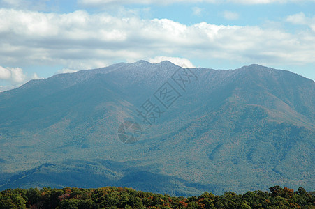 盖特林堡山树木森林叶子季节数控分支机构树叶山脉图片