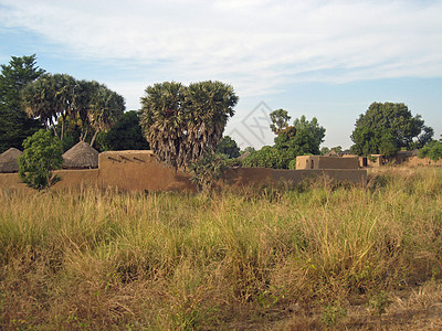 非洲乡村观点窝棚部落旅游黏土贫困苦难小屋建筑学农村图片