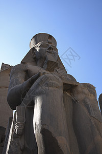卢克索寺 埃及卢克索雕塑寺庙考古学花岗岩石头人面纪念碑狮身雕像砂岩图片