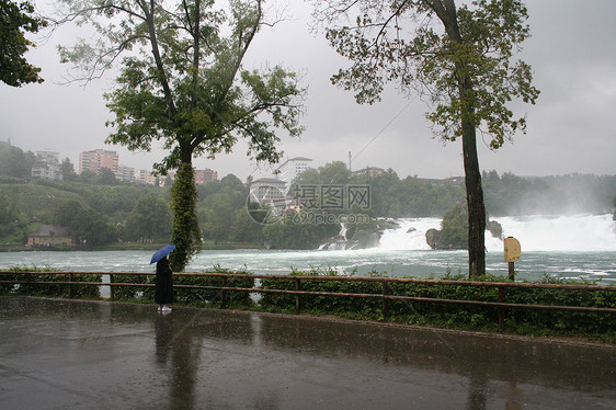 独自在莱茵河瀑布旁的雨中图片