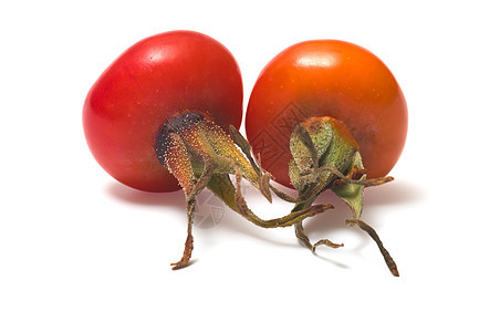 多格罗斯贝瑞里小吃饮食植物玫瑰食物食品红色季节收成白色图片