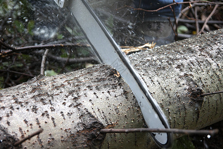 链锯切割后备箱运动木头刀具工作工具树干樵夫锯末灰尘木材图片