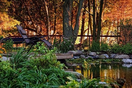 住宅园林花园植物绿色池塘树木石头椅子院子灌木花朵晴天图片