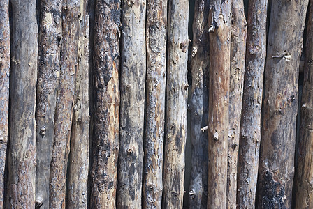 日志栅栏为背景特写拍摄森林建筑材料木头树干国家住宅房子木板乡村图片