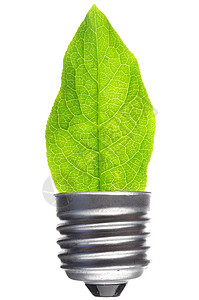 叶子创造力白色活力生长灯泡环境力量生态回收标签图片