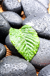 石或锅石生态药品卵石下雨健康鹅卵石树叶按摩环境平衡图片