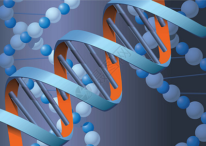 DNK 具有相形背景的DNK分子曲线技术科学插图生物学公式化学品实验室教育蓝色图片