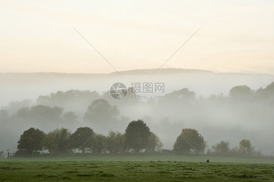 美丽的搅动森林和田野的场景 含有多层烟雾图片