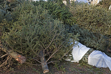 圣诞节后垃圾木头传统庆典背景图片