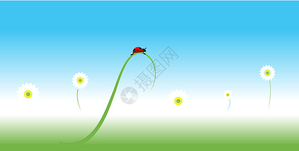 春底Ladybug 弹簧背景天空阳光叶子草地昆虫瓢虫幸福甘菊甲虫艺术图片