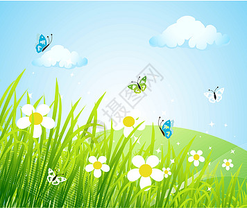 春草地美丽农业蓝色场地叶子场景蝴蝶家庭植物城市阳光图片