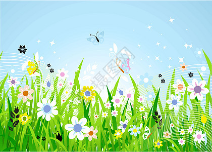 春草地美丽甘菊植物太阳雏菊蓝色场地阳光杂草生长天空图片