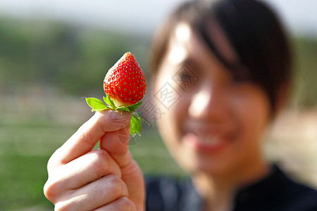 女孩摘草莓浆果喜悦孩子场地食物水果饮食女性女士微笑背景图片
