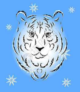 环光灯 2010年符号危险艺术毛皮标识绘画猫科动物雪花力量装饰品哺乳动物图片
