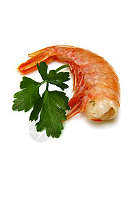 虾尾巴食物营养起动机海鲜美食甲壳国王宏观贝类图片