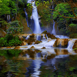 瀑布树木旅行热带绿色森林丛林石头荒野淋浴蓝色图片