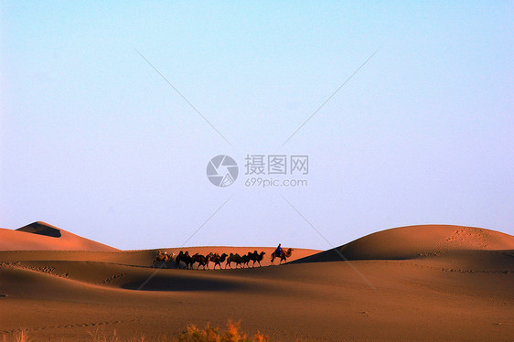 日落时的沙漠黄色旅行全球季节戏剧性爬坡阳光公园骆驼天空图片