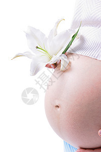 孕妇的胃部生活肚子生长产妇女士婴儿百合裁剪女性怀孕图片