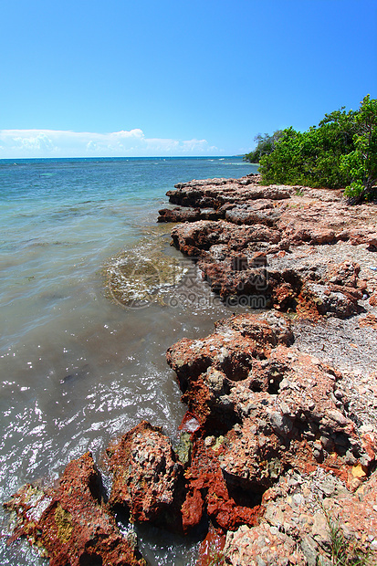 Guanica保留地波多黎各岩石风暴叶子里科假期晴天海洋热带植被天空图片