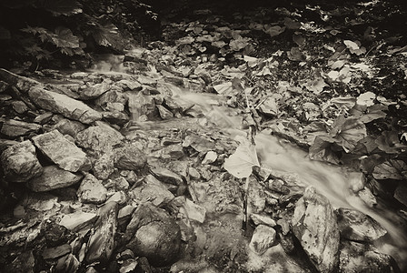流水 多洛米特人旅行瀑布阳光风景速度公园木头苔藓运动溪流图片