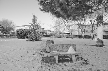 意大利比萨比萨暴风雪后的街道圆顶宗教大教堂天空纪念碑洗礼池教会坎波建筑文化图片