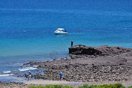 美丽的澳洲海岸 哈莱特湾 阿德莱德海景热带海滩天堂假期海洋岩石阳光海浪植物图片