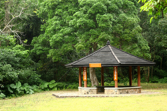 具有森林背景的自然间小馆室环境建筑草原棕榈场景公园植物院子香蕉椅子图片