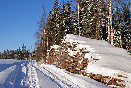 冬季森林道路运输木材原木已准备就绪图片