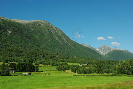 美丽的挪威农村山地风景窗户房子假期旅行蓝色场地树木建筑物石头岩石图片