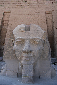 卢克索寺 埃及卢克索花岗岩石头雕像法老考古学砂岩寺庙历史人面雕塑背景图片