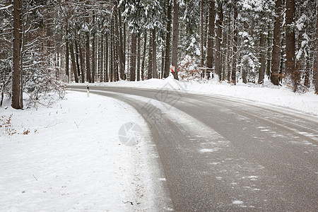 雪雪路森林公园晴天林地国家街道季节暴风雪魔法冻结图片
