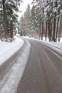 雪雪路冻结车道小路公园场景林地晴天树木街道森林图片