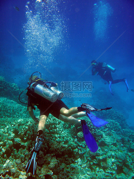 在红海潜水红色潜水员图片