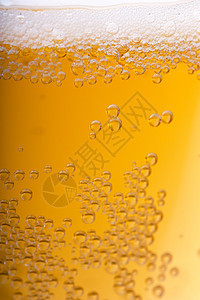 啤酒背景飞沫工艺茶点食物泡沫橙子绘画瓶子玻璃宏观图片