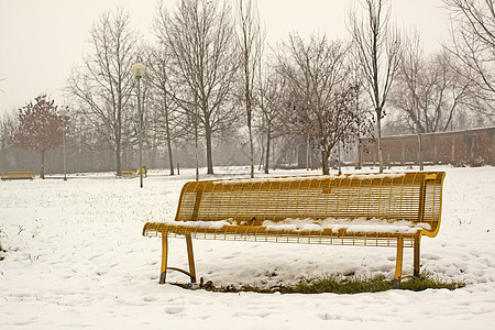 下雪时的座椅城市长椅游客孤独木头水池家具休息季节树木图片