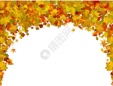 EPS 8 秋叶的背景框架环境金子曲线边界橙子艺术植物叶子插图图片