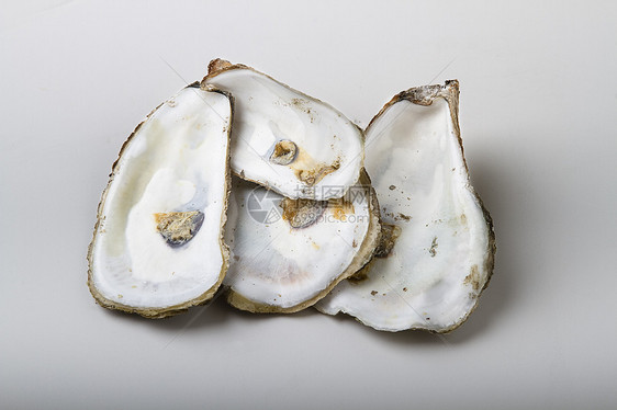 左侧牡蛎奢华白色食物稀有性图片