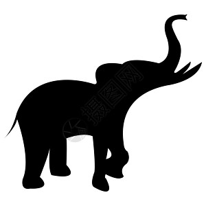 黑色大象的黑光影 白色上被孤立健康獠牙濒危厚皮哺乳动物野生动物动物荒野象牙灰色图片