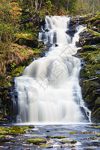 山下瀑布 快速流水 秋天风景植物环境溪流公园叶子力量国家山腰场景爬坡图片