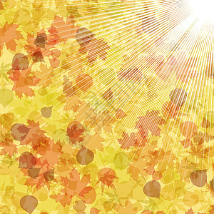 秋叶背景 EPS 8白色边界金子光束墙纸红色角落叶子插图射线图片