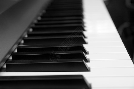 钢琴学习音乐象牙笔记乐器黑色旋律宏观钥匙音乐会图片